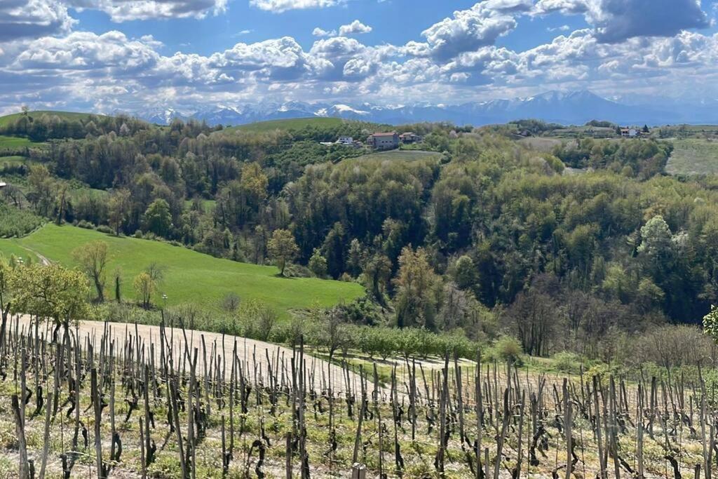 Spicchio Di Langa - Casa Indipendente Tra Le Vigne E Le Alpi Villa Belvedere Langhe Exterior photo